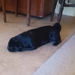 Beth Hester - @bethhester1961 - Instagram
