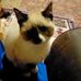 Beth Hester - Facebook