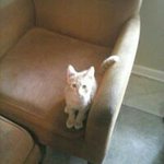 Beth Hicks - @beth.hicks.9081 - Instagram