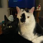 Beth Feld Hillier - @bfeldhillier - Instagram