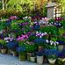 Elizabeth Hillis - Facebook