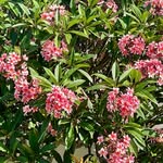Betty Hodder - @hodder7328 - Instagram