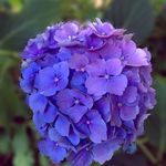 Beth Hoffman - @beth.hoffman.547 - Instagram