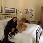 Beth Hoffman - @threeredwoods - Instagram