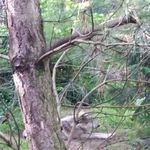Beth Hogan - @beth.hogan.7 - Instagram