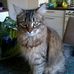 Beth Hogan - Facebook