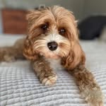 Beth Hogan - @bethahogan - Instagram