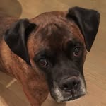 Beth Holzman - @beth.holzman - Instagram