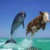pancakes 4 life _57 - @bethhome - TikTok