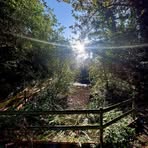 Beth Hooper - Facebook