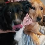 Beth Hooper - Facebook