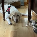 Beth Howland - @cooprzmom - Instagram