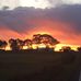Beth Howlett - Facebook