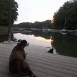 Beth Hoyle French - @french8734 - Instagram