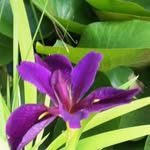 Beth Hoyt Klein - @kleinline1 - Instagram