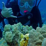 E-Beth Huber Collinske - @ebethhawaii - Instagram