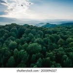Beth Huerta - @bethhuertaikn33509 - Instagram