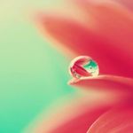 Bethzabe Angelica Huerta Galaz - @beth_huerta_galaz - Instagram