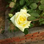 Beth Huff - Facebook