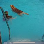 Beth Huffman - @bethhuffman4447 - Instagram