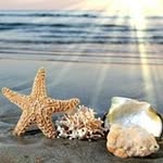 Betty Huffstetler - @huffstetlerbetty - Instagram