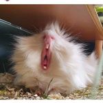 Bethan Hulbert - @bethanhulbert - Instagram