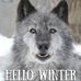 Beth Hume - Facebook