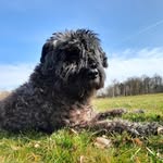 Liesbeth Hummel - @hummelliesbeth - Instagram