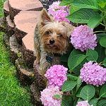 Beth Mcclimans-Hupp - @mcclimanshupp - Instagram
