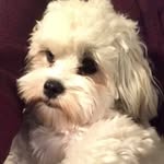Beth Hurt - @hurt_beth - Instagram