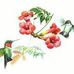 Elizabeth Husted - Facebook