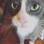 Beth Hutton - @cute_baby_animals47 - Instagram