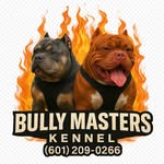 Beth Hutton - @bullymasterskennel - Instagram