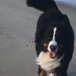 Mary Beth Hutton - @mbhutton314 - Instagram
