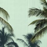 Beth Hyams - @bethyams - Instagram