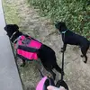 Beth Hyde (dogs’ mom) - @h.puppiesadventures - TikTok