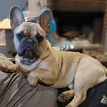 Beth Hyde Vandergriff - @ba_vandergriff - Instagram