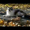 bethhyman406 - @bethhyman406 - TikTok