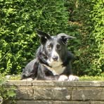Beth Irish - Facebook