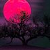 Beth Isaacs - Facebook