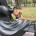 Beth iverson - @bethiverson4 - Instagram