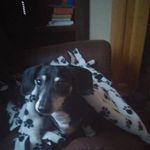 Beth Iverson - @iverson8251 - Instagram