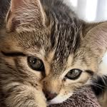 Beth Goslee Jablonski - @jablonskibeth - Instagram