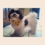 Beth Bolvin Jacobsen - @bajake_13 - Instagram