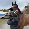 Bethina Jacobsen - @bethina.jacobsen2 - TikTok