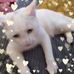 Beth Jacques - Facebook