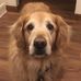 Beth Jaeger - Facebook