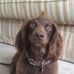 Beth Jaeger - Facebook