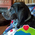 Beth Ruff Jaeger - @mbjaeger1 - Instagram