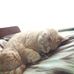 Beth Jamalkowski - Facebook